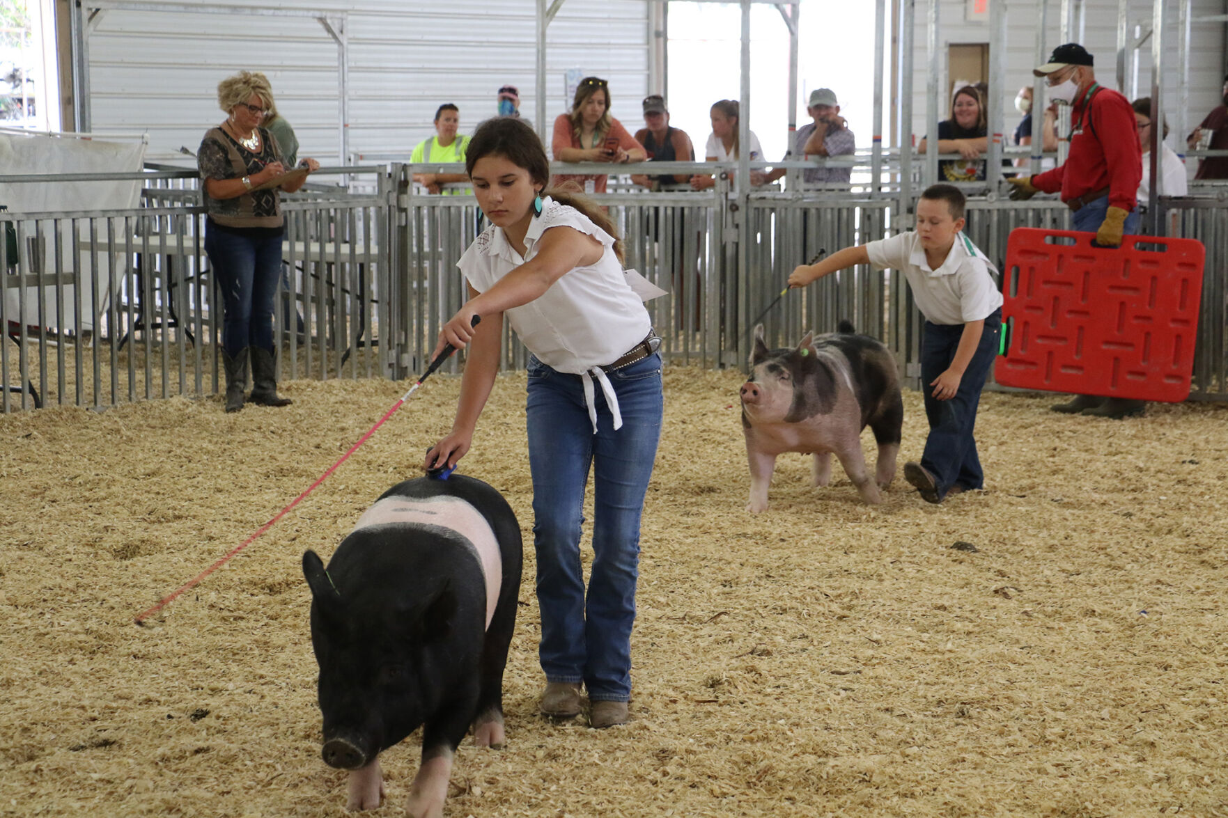 PHOTOS: Pig Showmanship